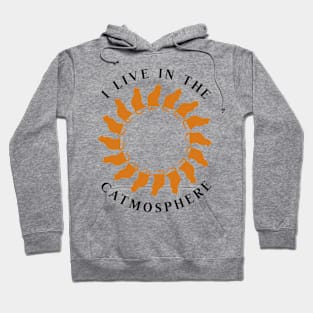 I live in the catmosphers T-Shirt Hoodie